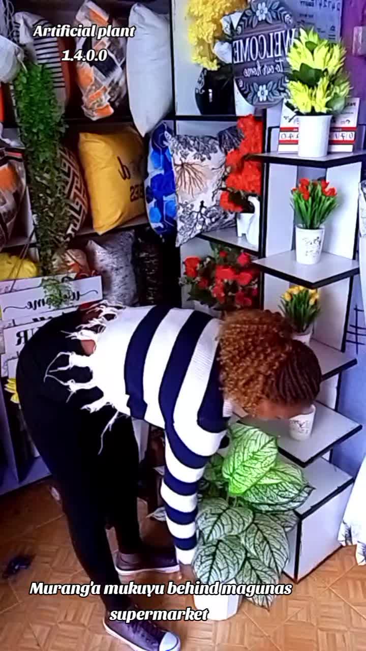 @Aggycurtains and home decor
