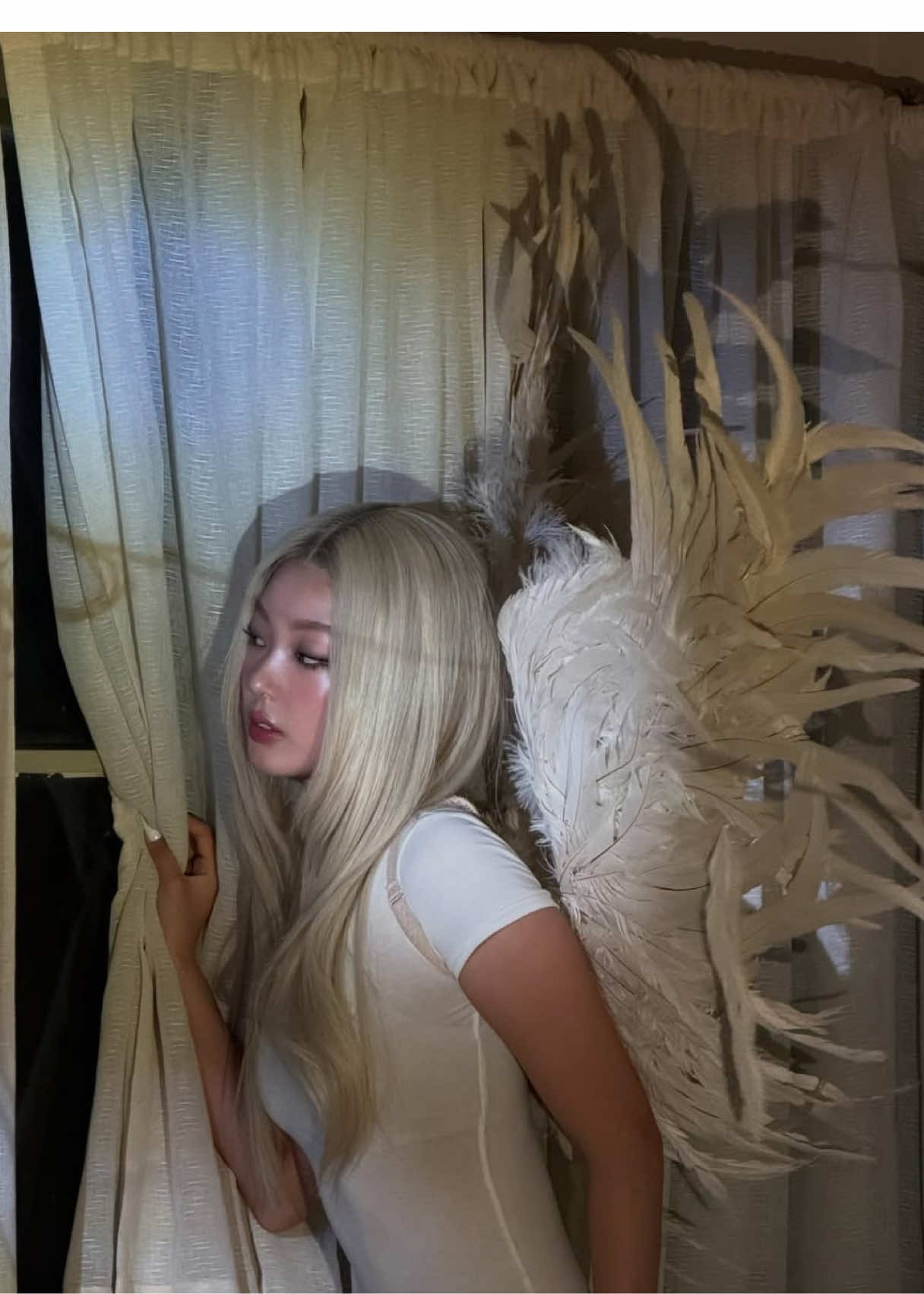 @Petalseye ⋆˙✧