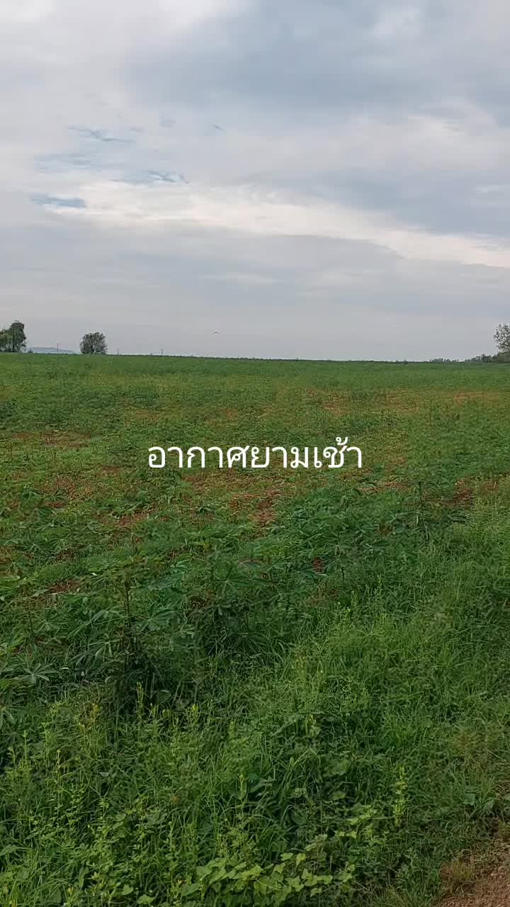 @kea8583