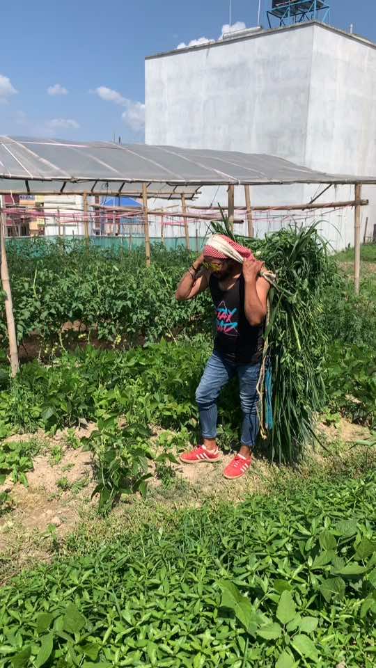 @Qumar Bhujel Chhetri