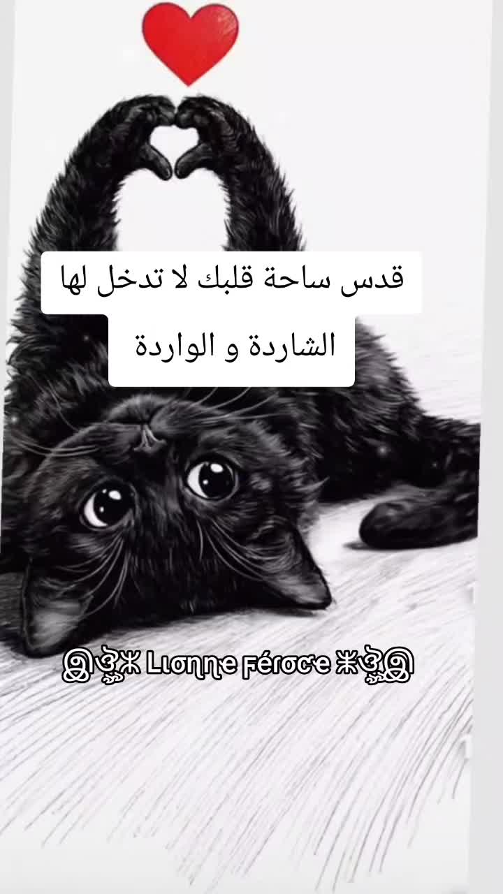 @இঔৣⵣ Lισɳɳҽ ϝéɾσƈҽ ⵥঔৣஇ