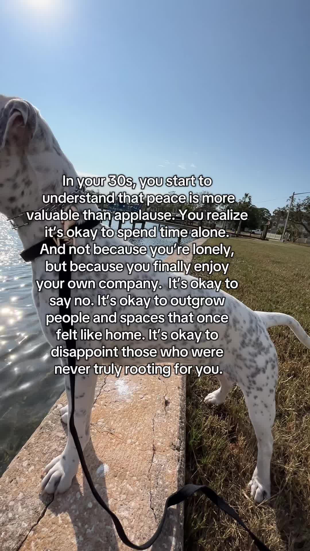 @lifewithstella