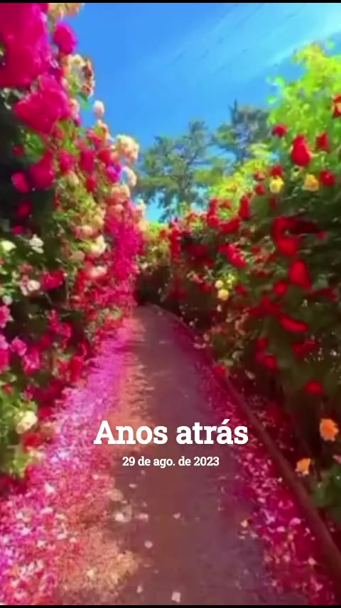@Dayane Xipaia 🩷🤍❤️💜💛
