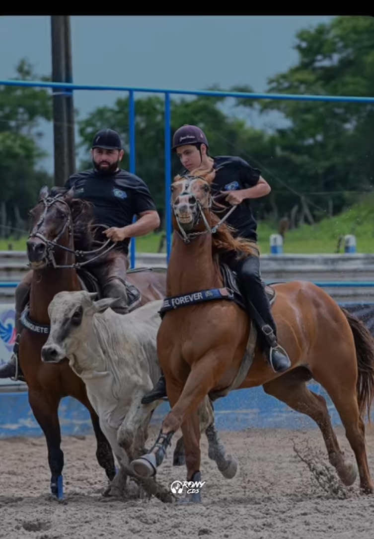 @forr&oacute; de vaquejada