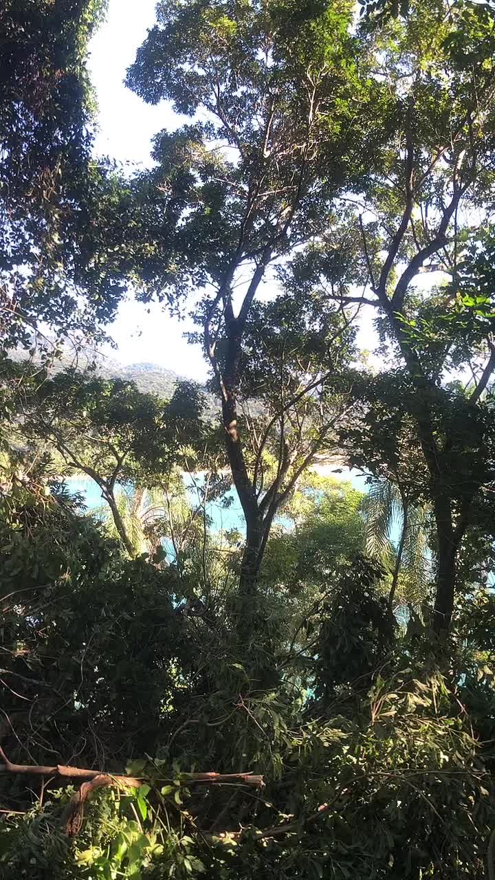 @samaroni