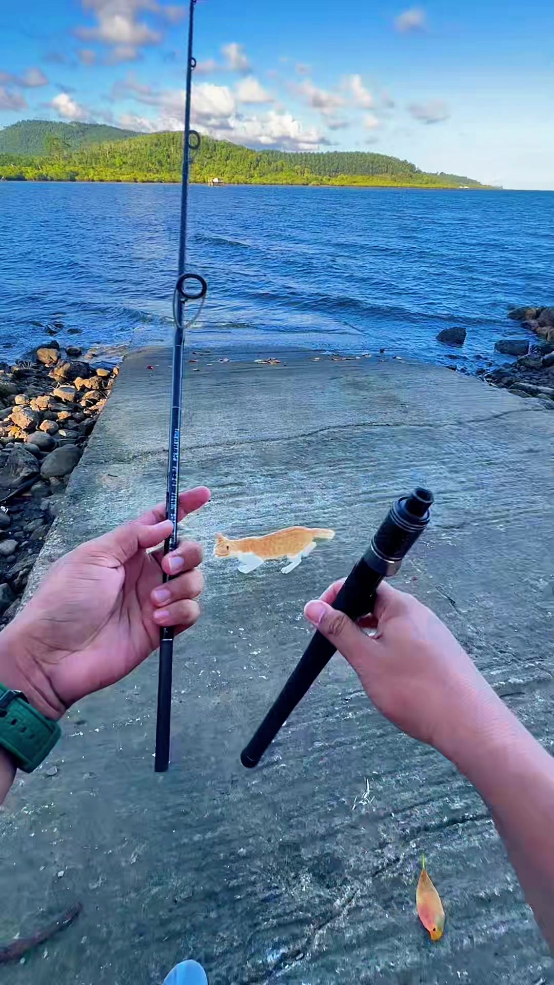 @Ariel Fishing