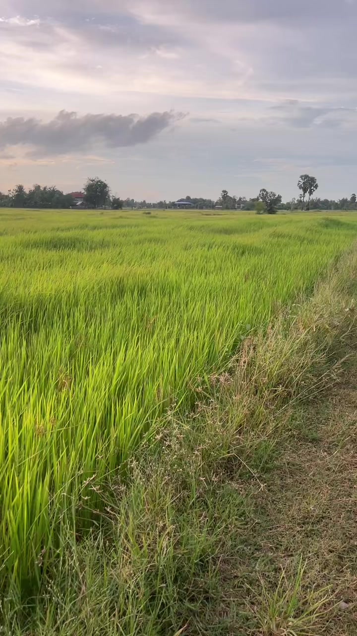 @ព្រះនាង សួយ៚ 🇰🇭