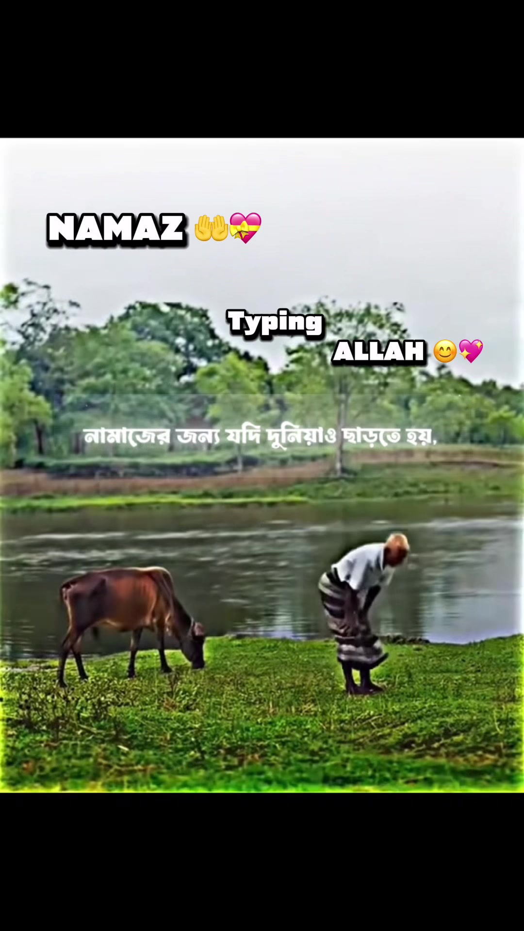 @Dx.Aminul