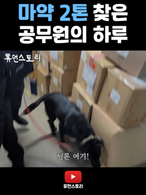 @휴먼쇼츠