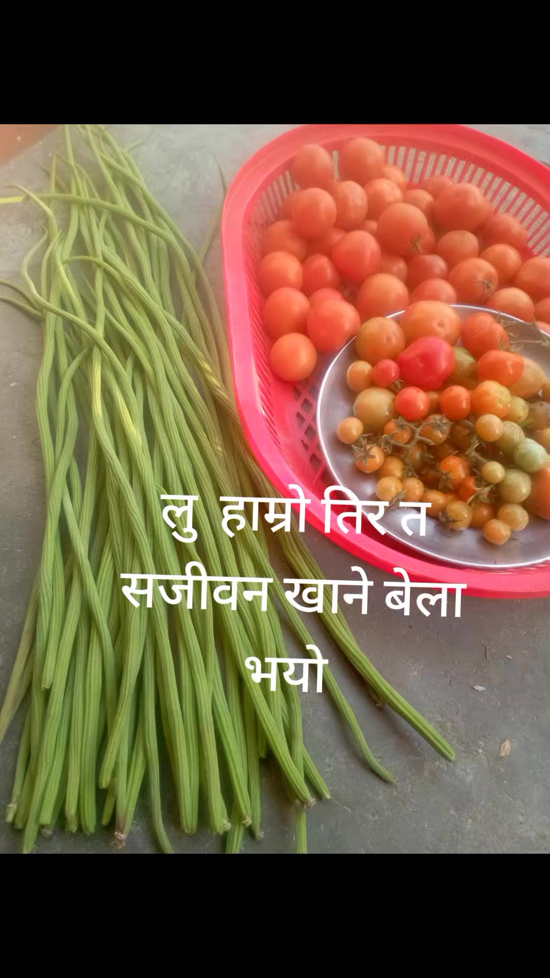 @Indira Dahal