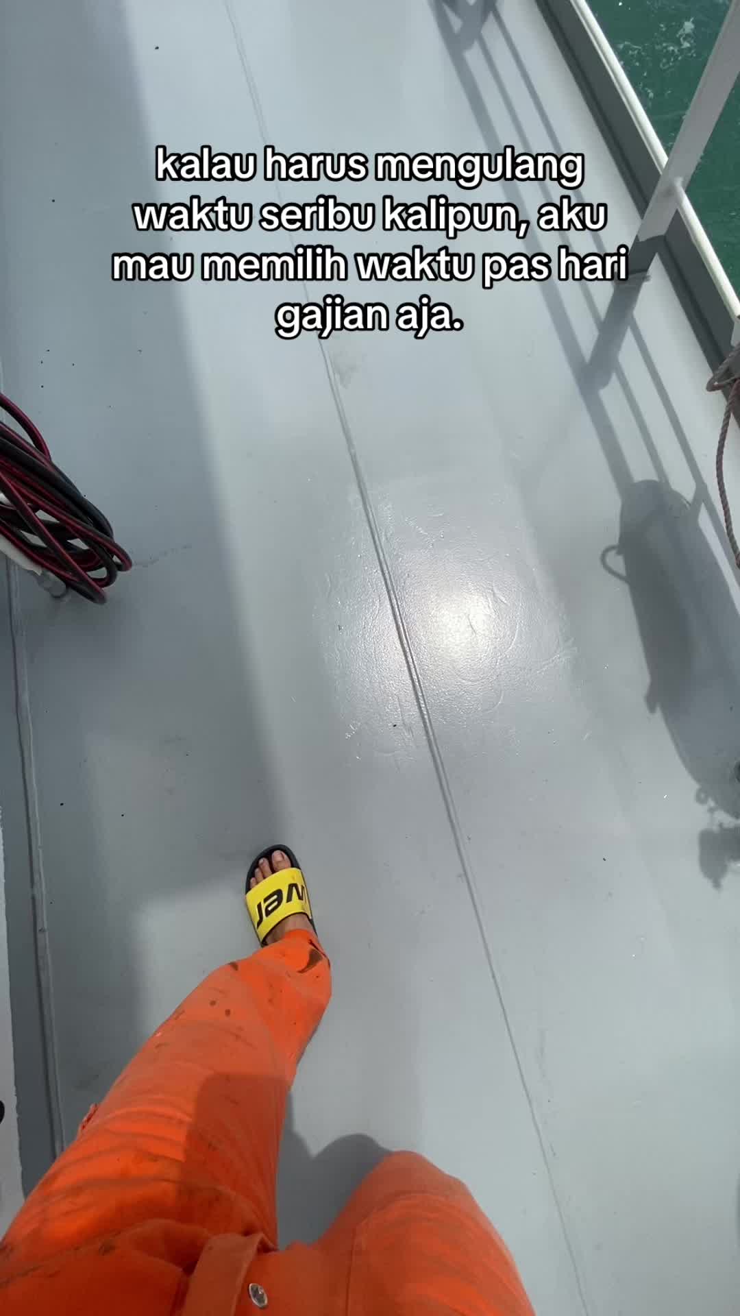 @🐬