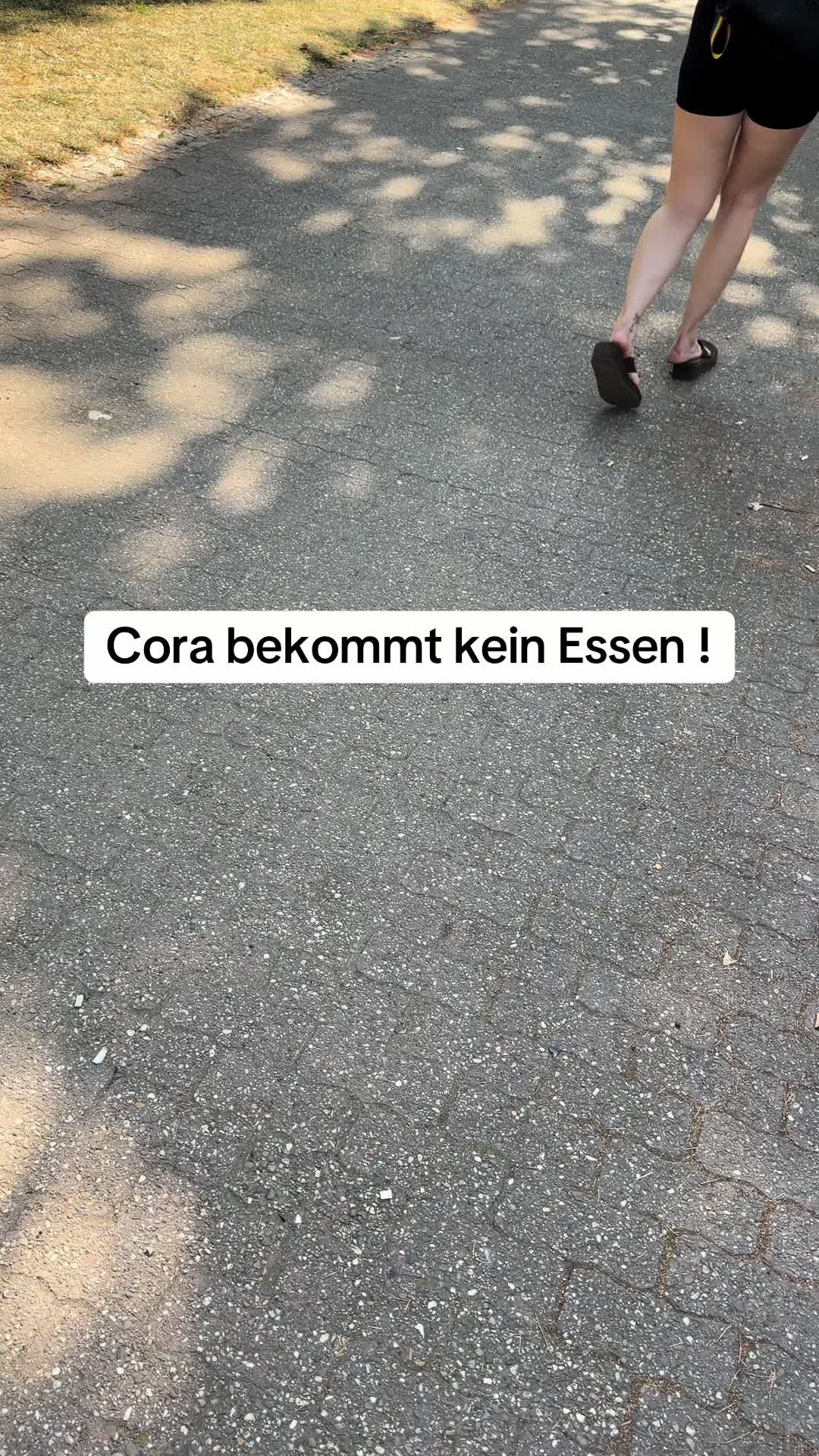 @Laramarieconrads