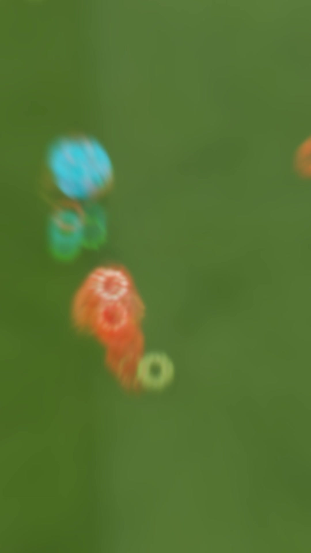 @Kevo15⚽️