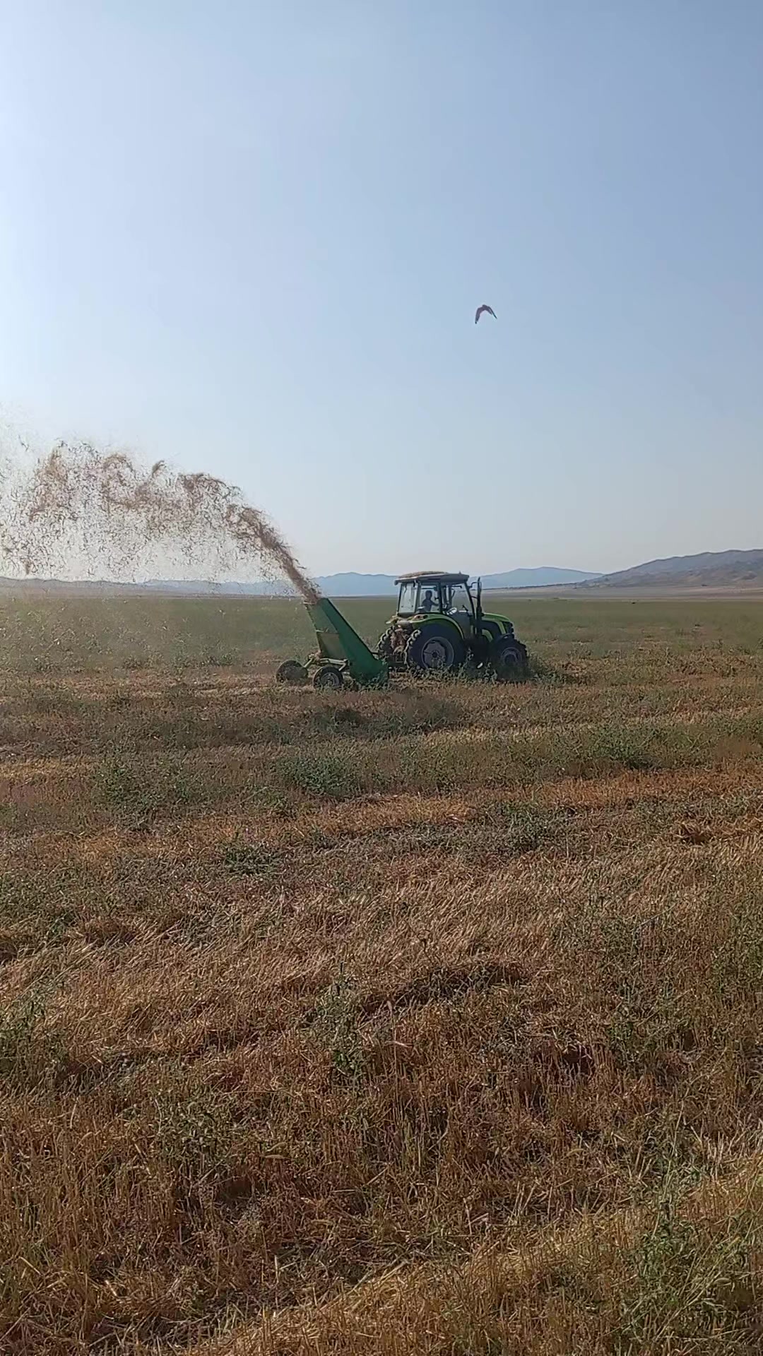 @Traktor_Aləmi
