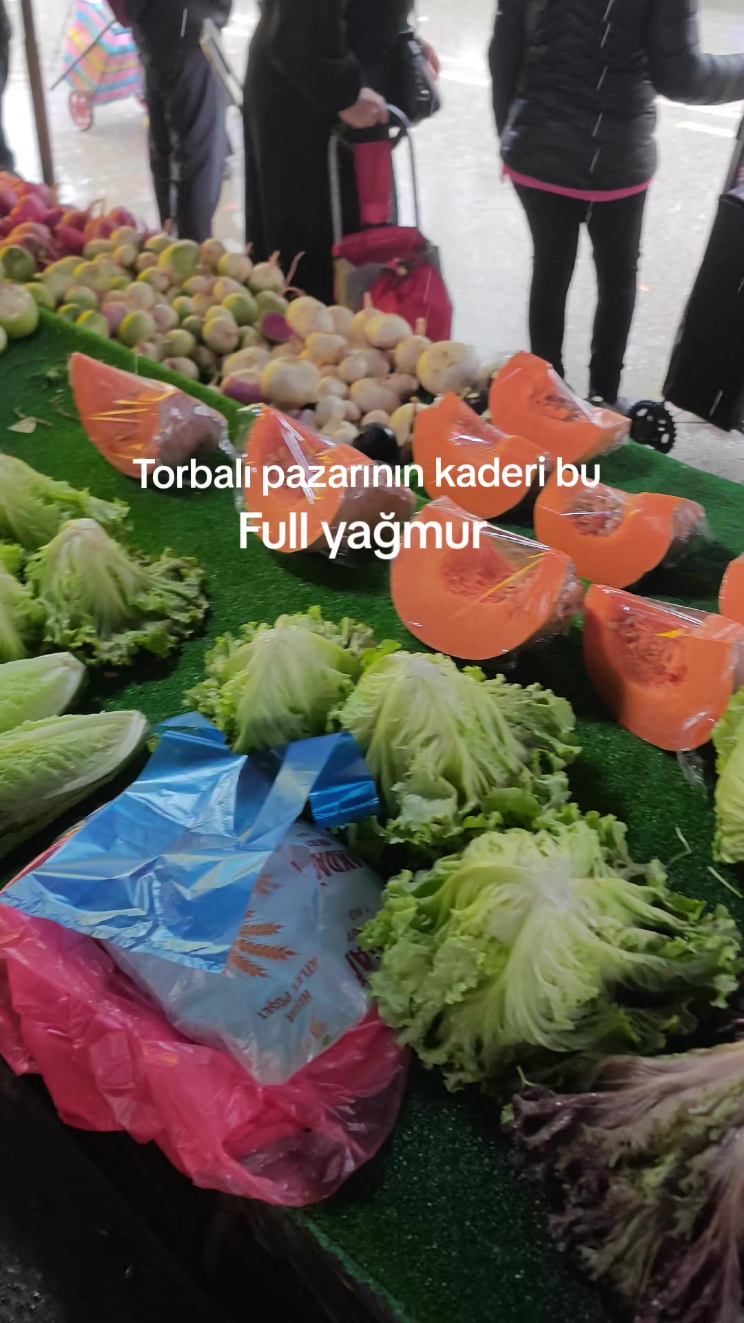 @Alan Tarım &Uuml;r&uuml;nleri 🥗