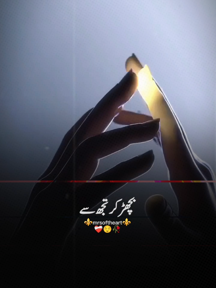 @shabnam- mir45
