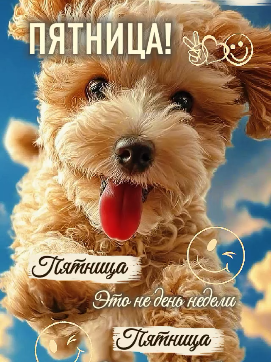 @Цветик 🇰🇿