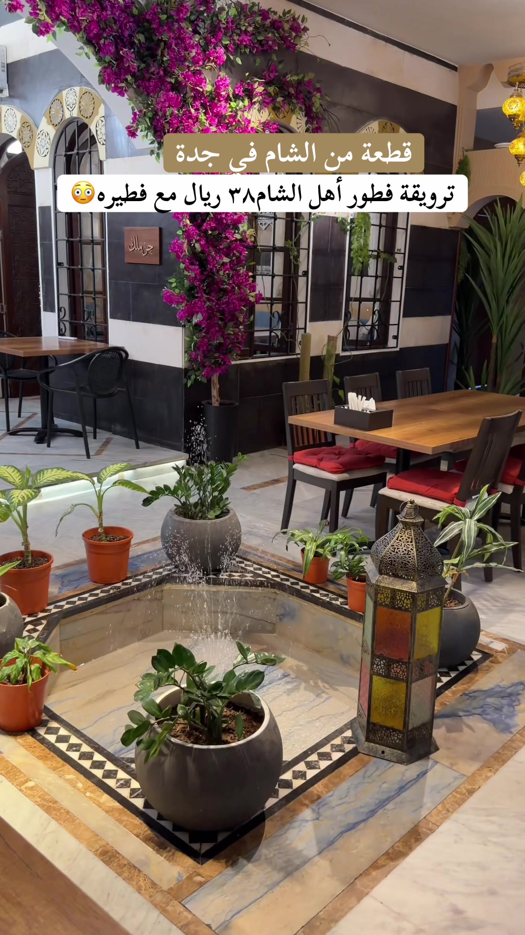 @إيمي جدة{تغطيات}