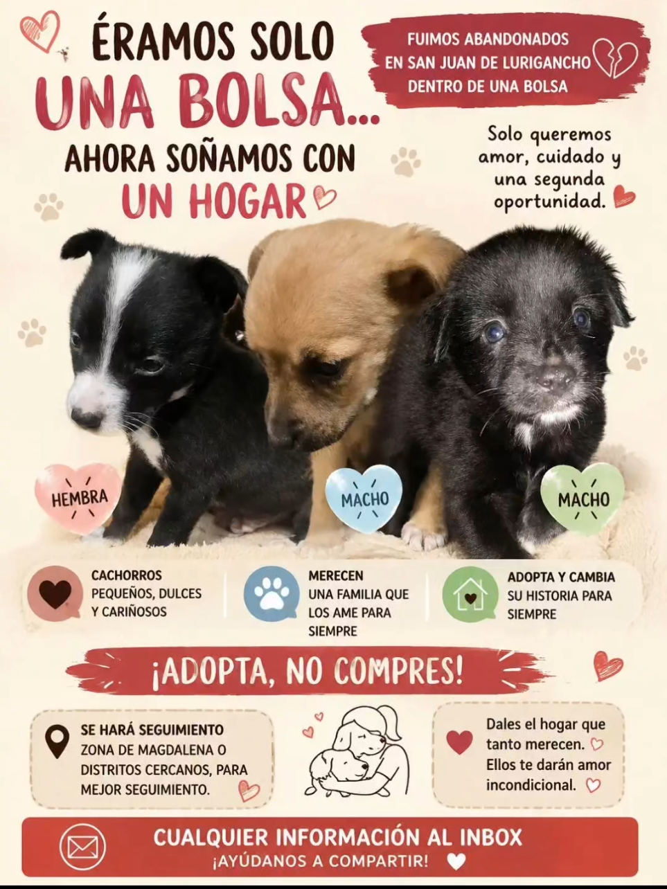 @Perritos Voladores