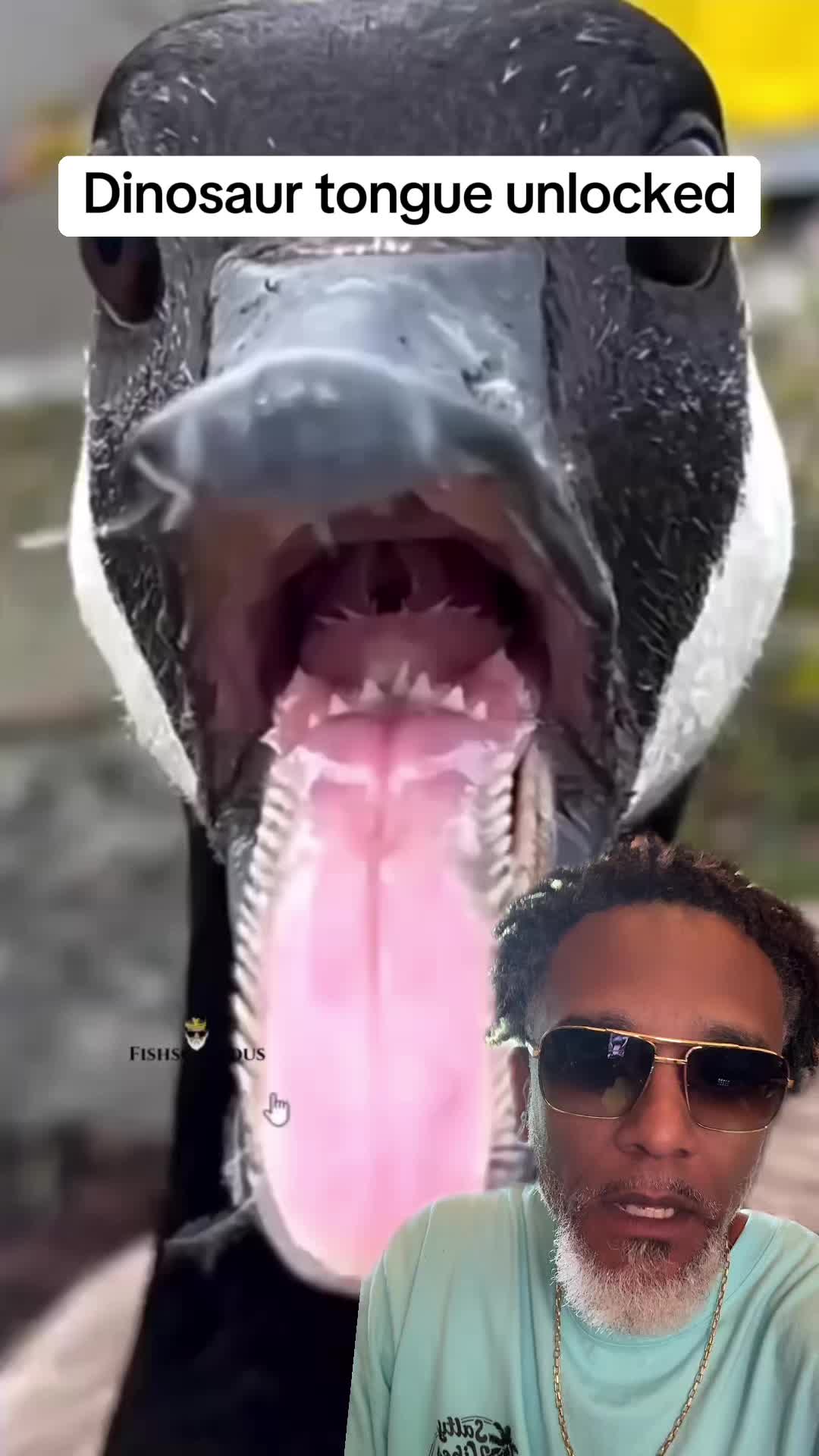 @Fishscaleous