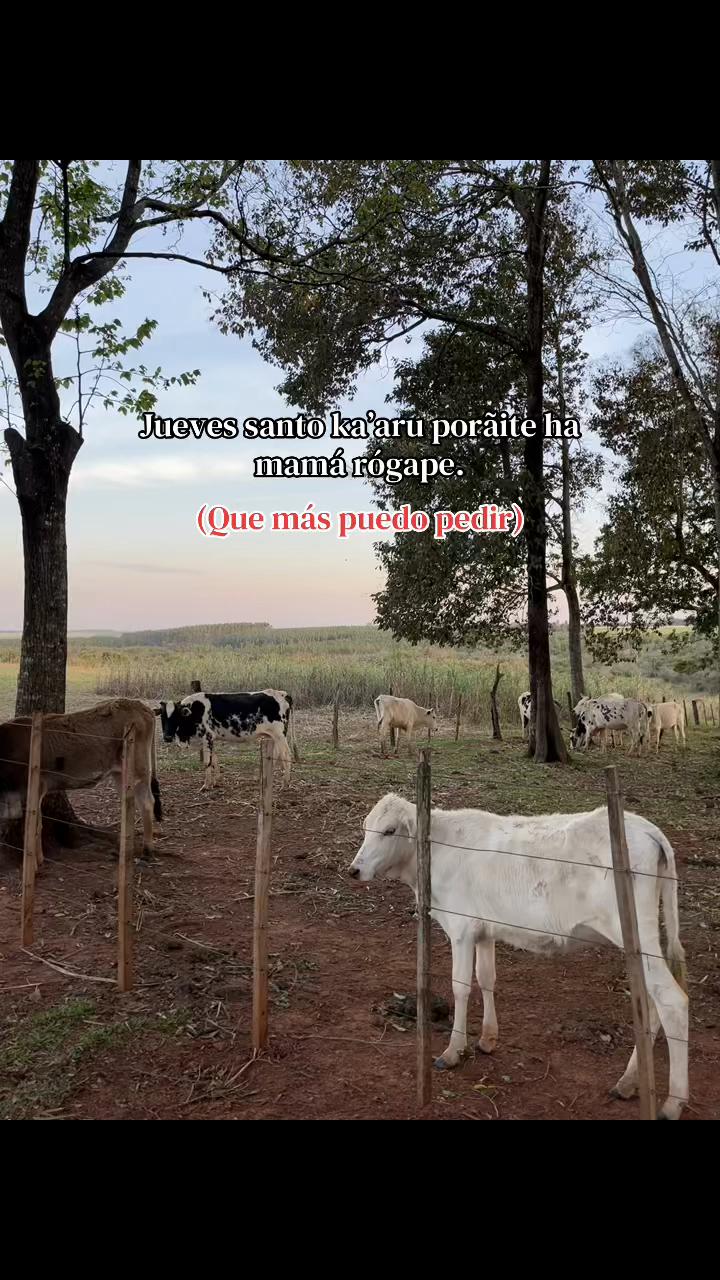@ðððŒ-ððᥣᥣαᥣá²α1111ðŒ