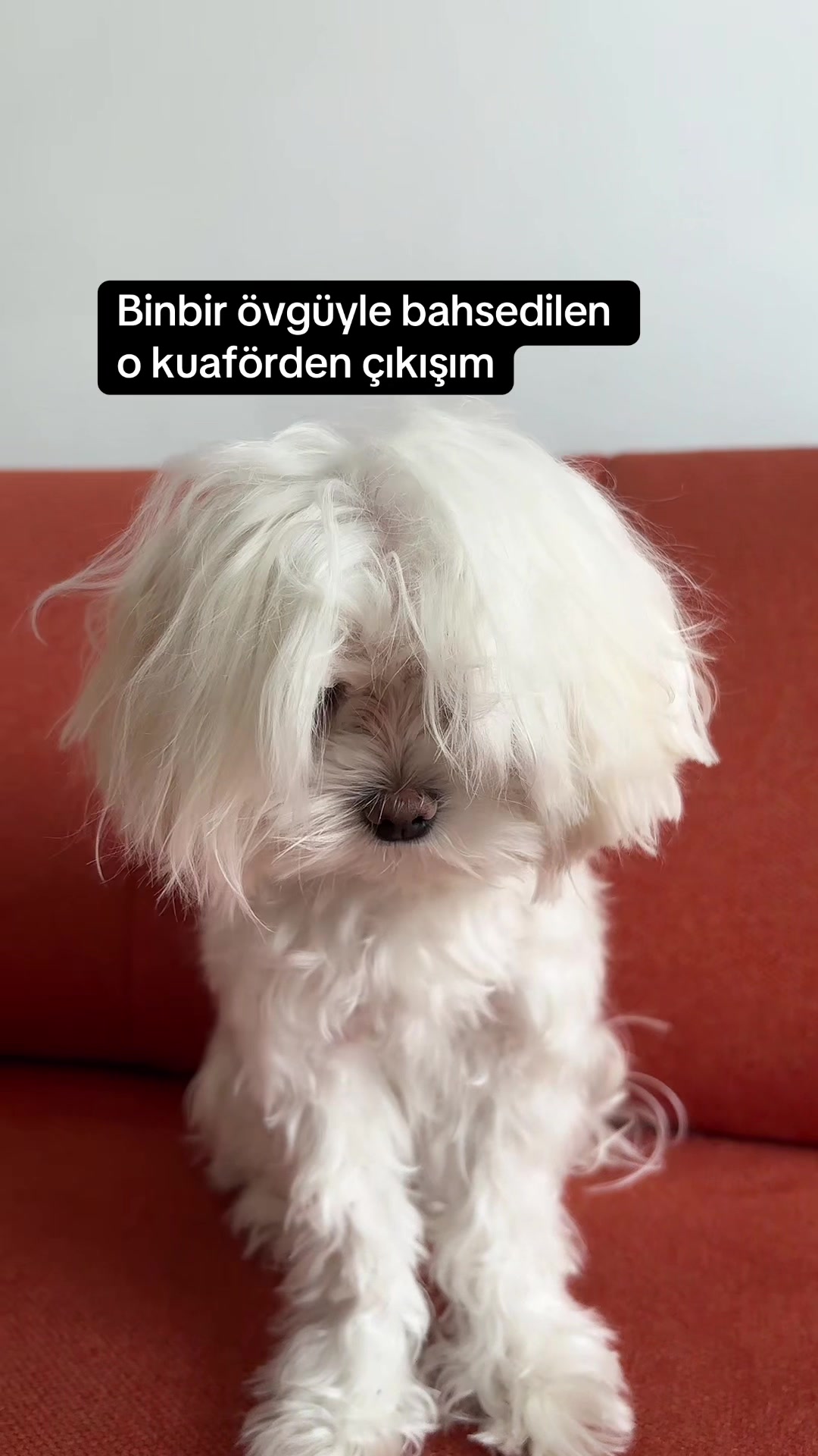@nurrrr
