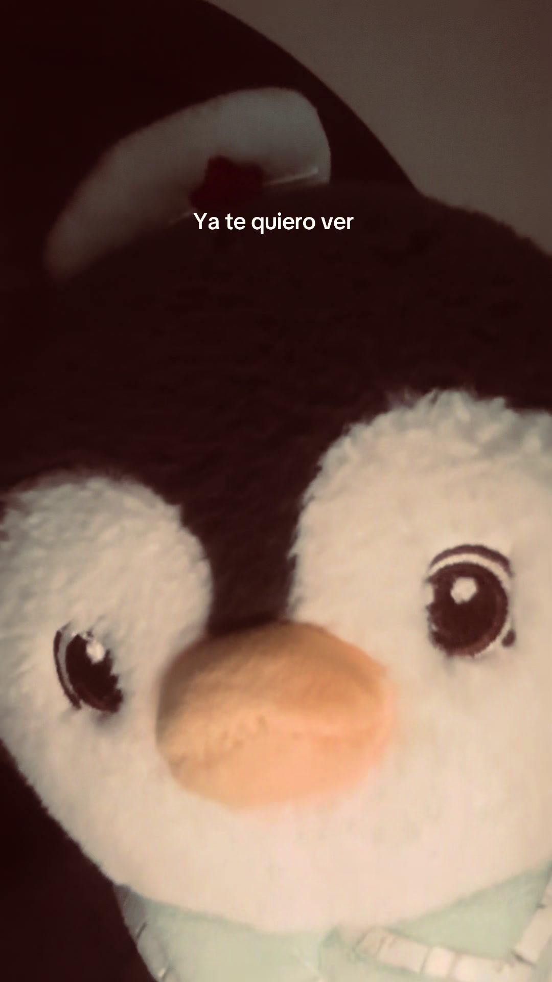 @Angel Ortiz