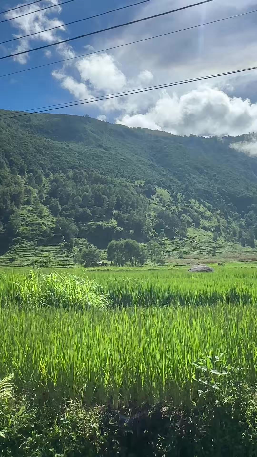 @Kalpana Pandit chhetri(kalpu)