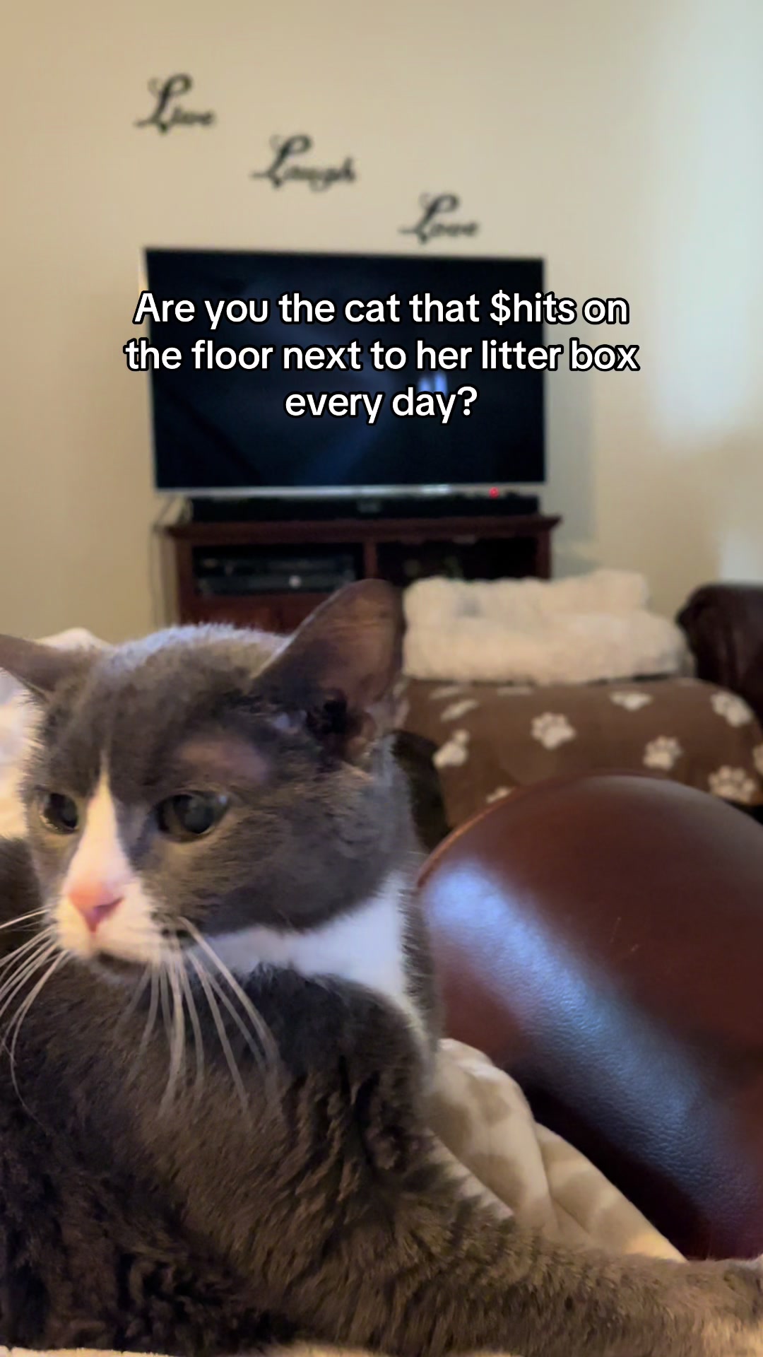 @Trixie the Tuxie