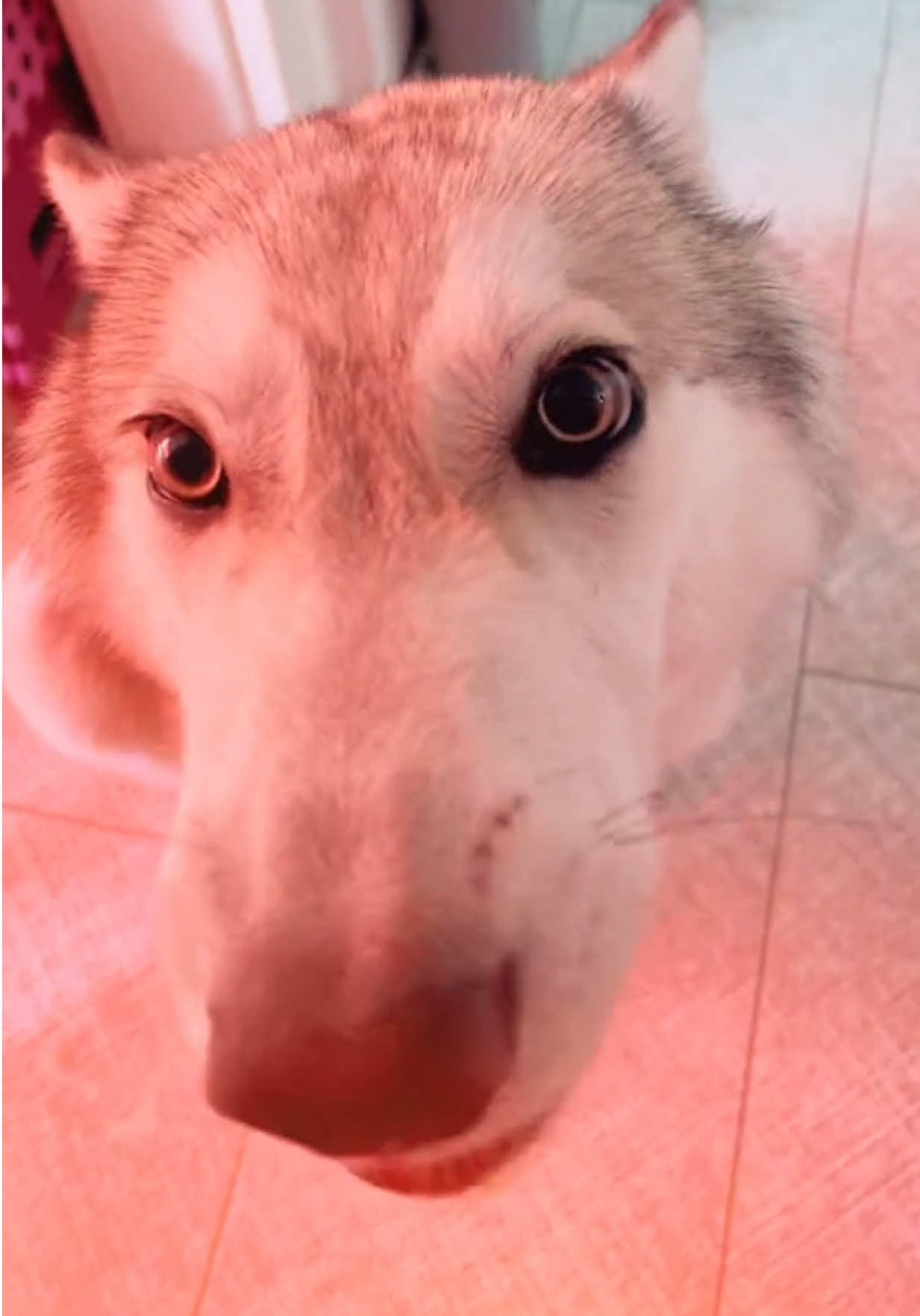 @โฆ ๐ซ๐๐๐ ๐
๐ ๐ณ๐๐๐ โฆ