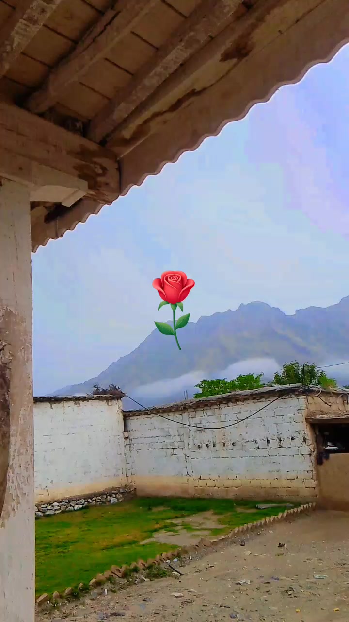 @barkatkhan5972