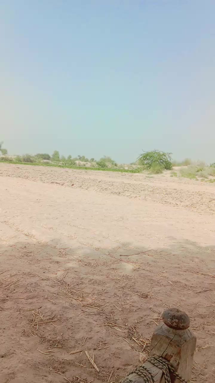 @Sardar RAIS Farhan Burrah