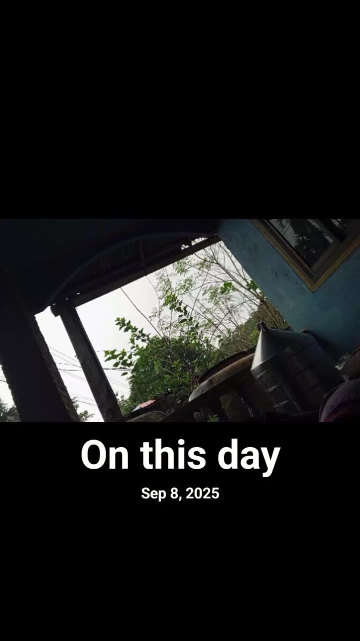 @🇲🇲🇳🇱리오ㅑ안개🇲🇲🇳🇱