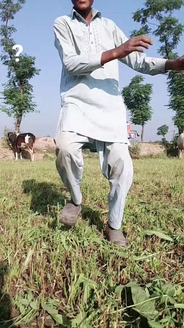@🌹🥀لیاقت جودھاں آلا 💯💯💯