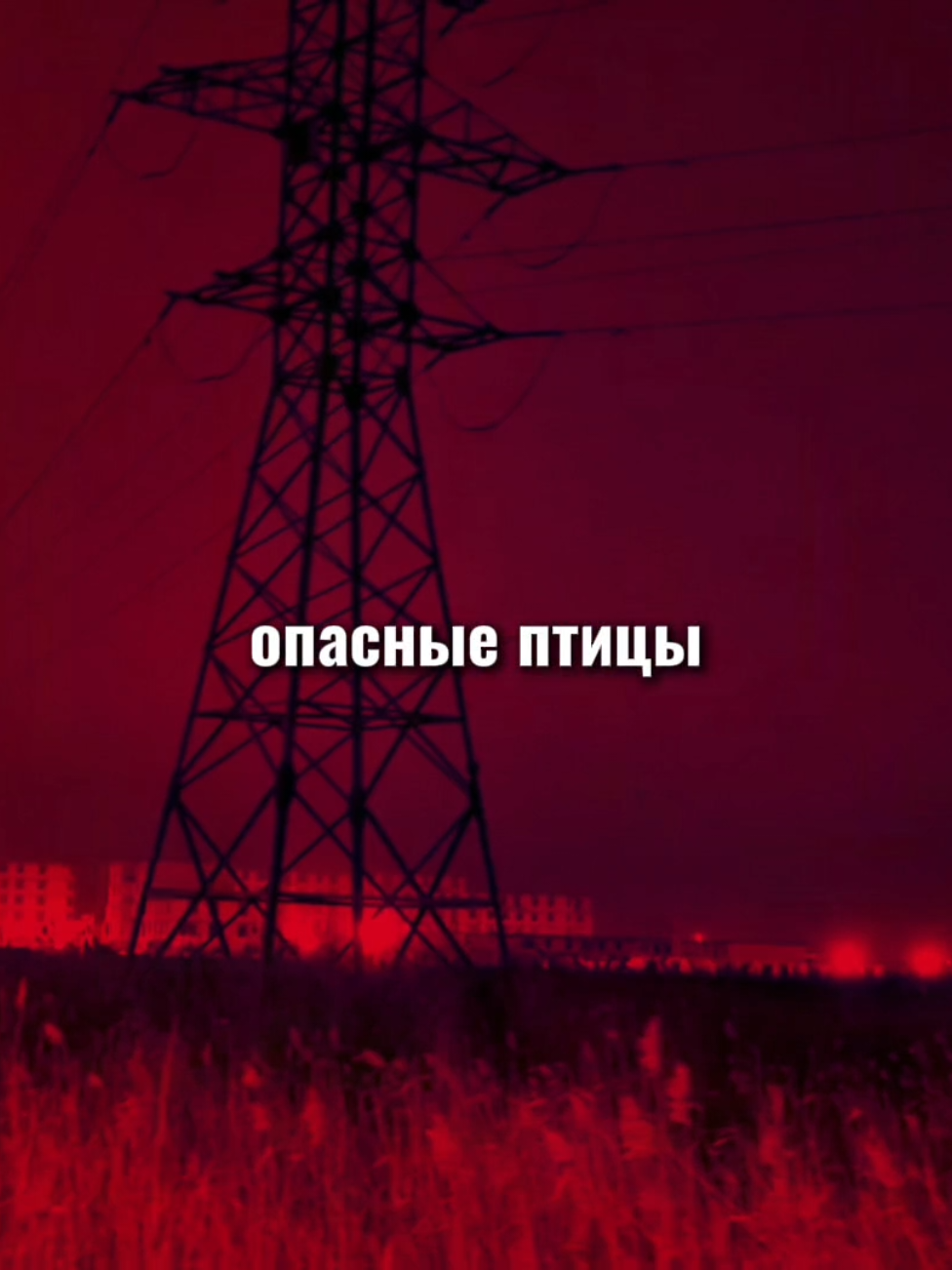 @дом в котором