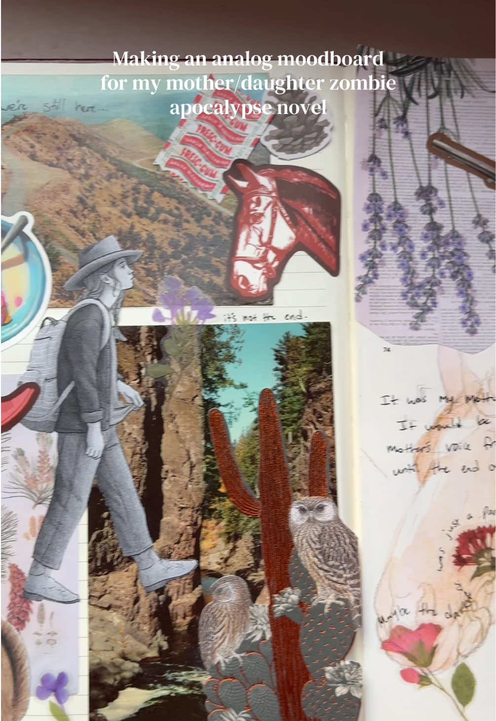 @Sophie // Writer + Illustrator