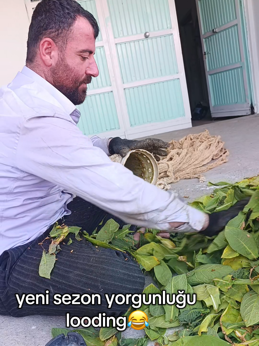 @Dilan Han