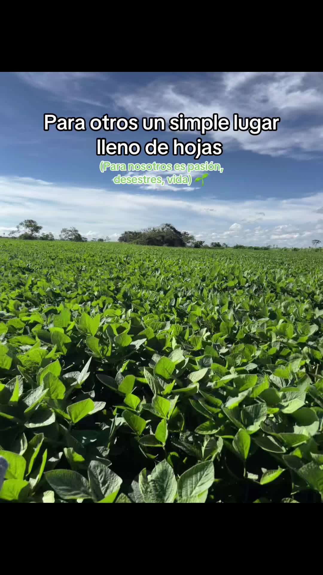 @Mayte Llanos