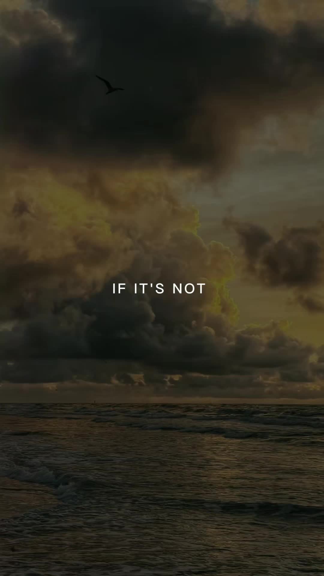 @Purfectlymperfect
