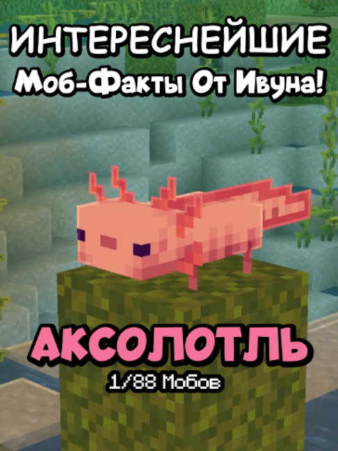 @KompotikIvun