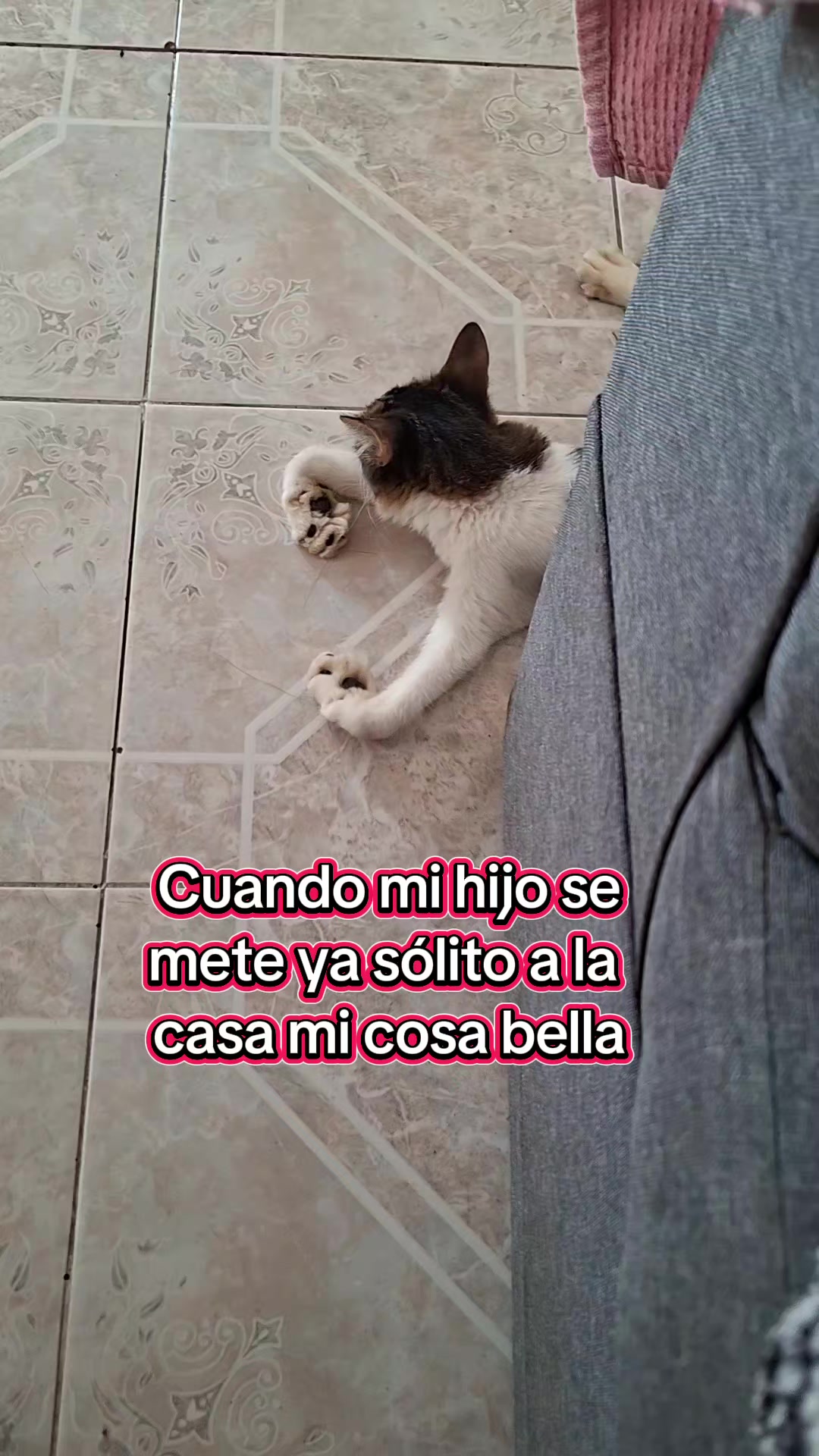 @Nel