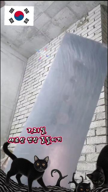 @๐งค๋ฏธ์ฅํ๋๐ ์ถ๊ตฐโ๏ธ