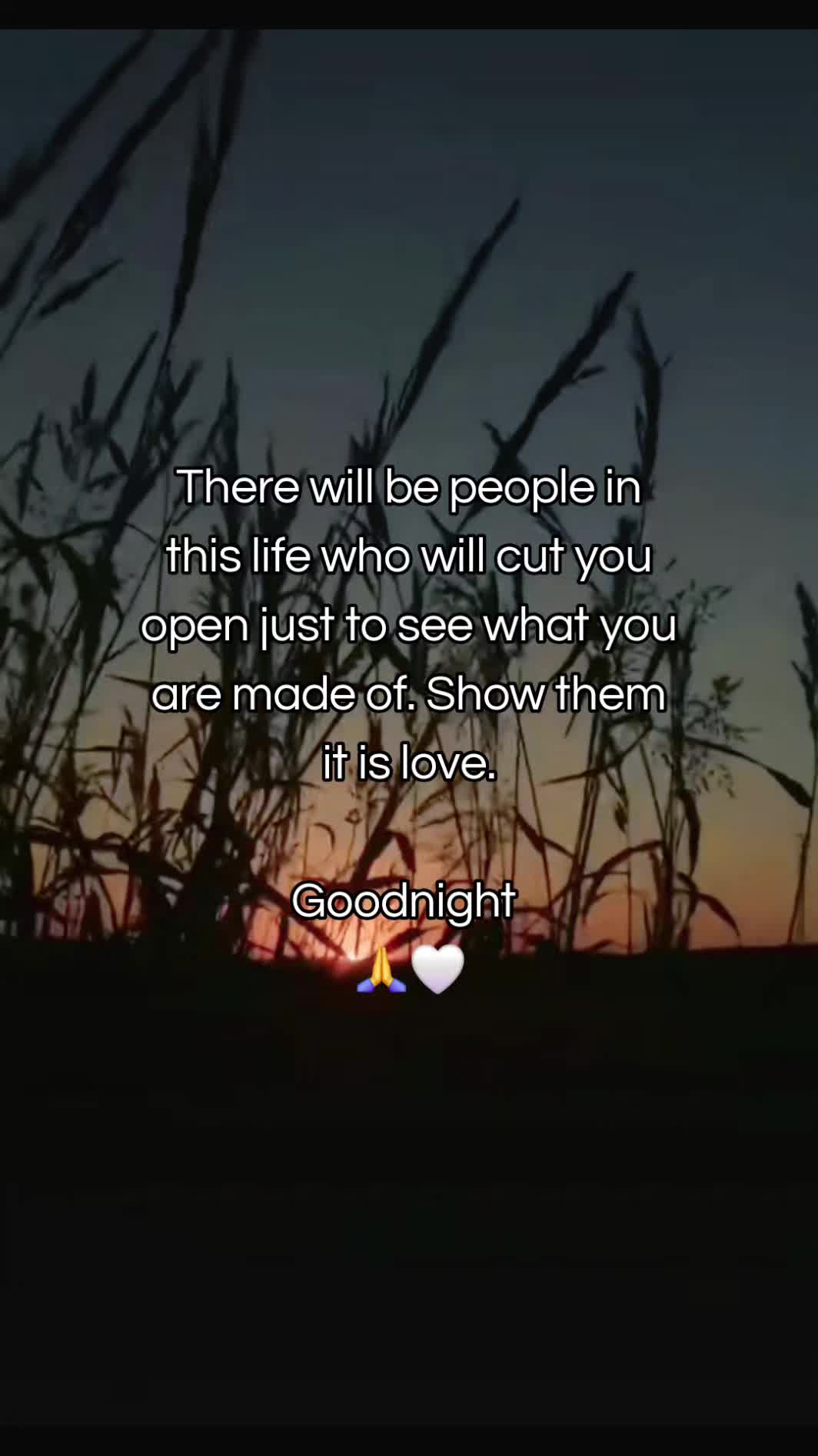 @TDawg47✝️
