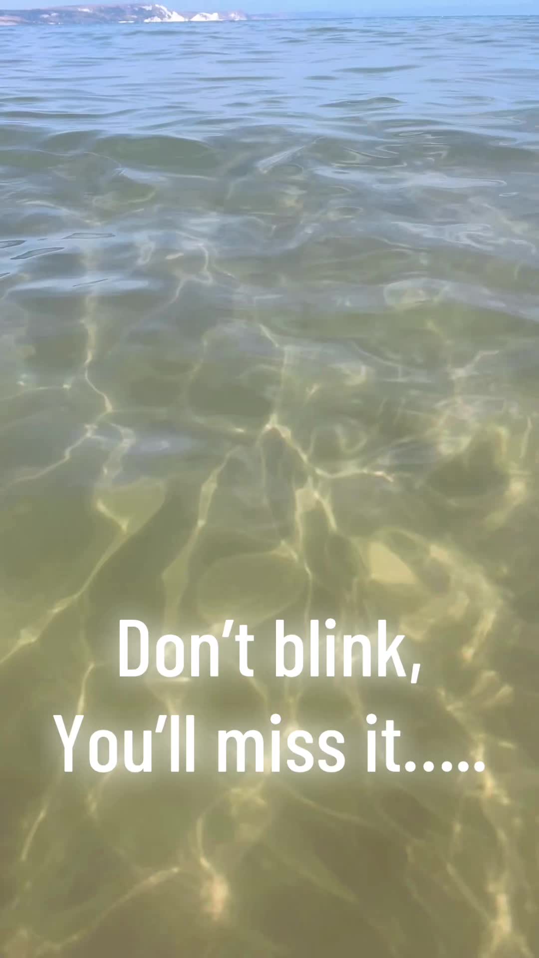 @MyBreathingBook