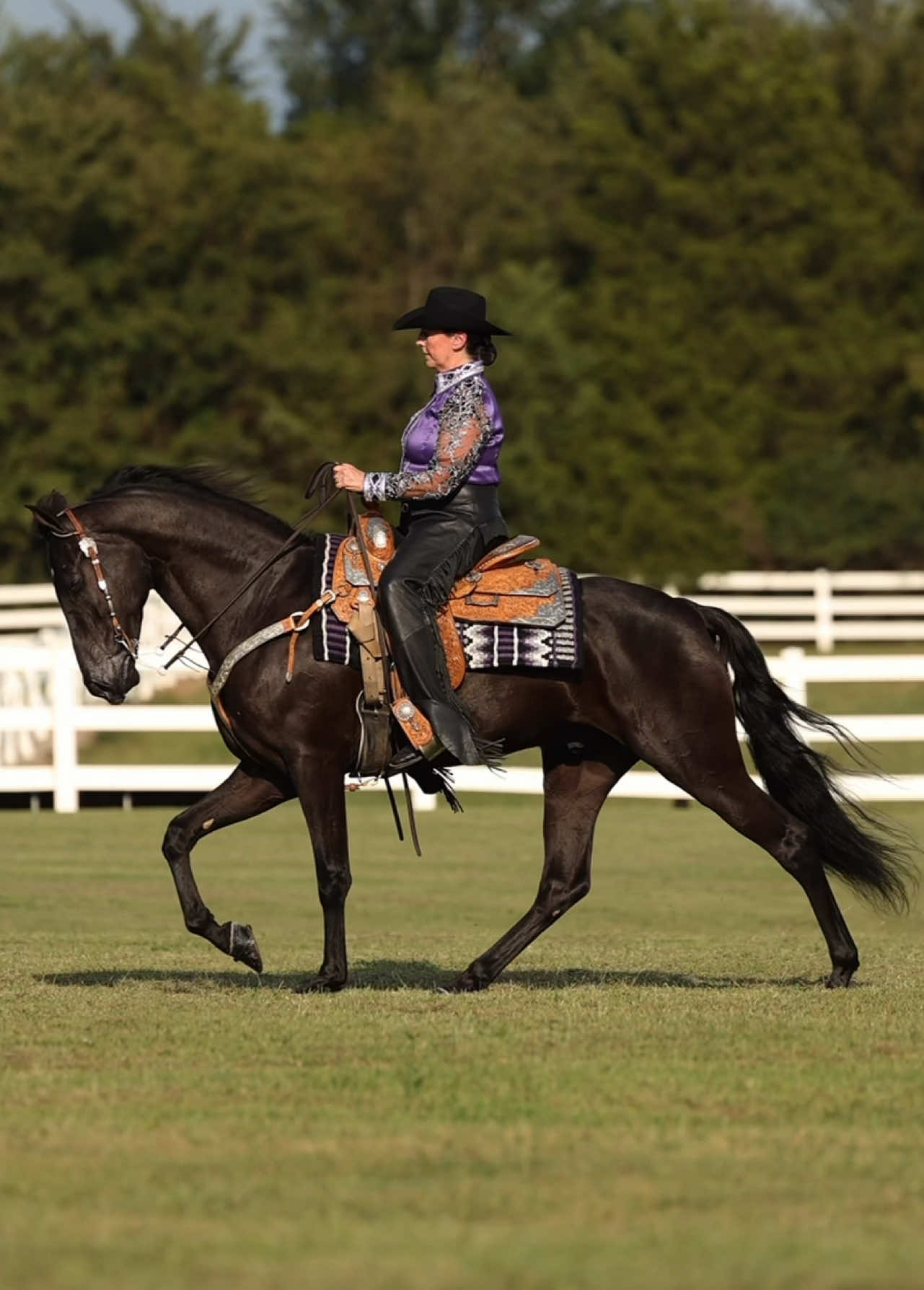 @Miranda | Equine Photographer