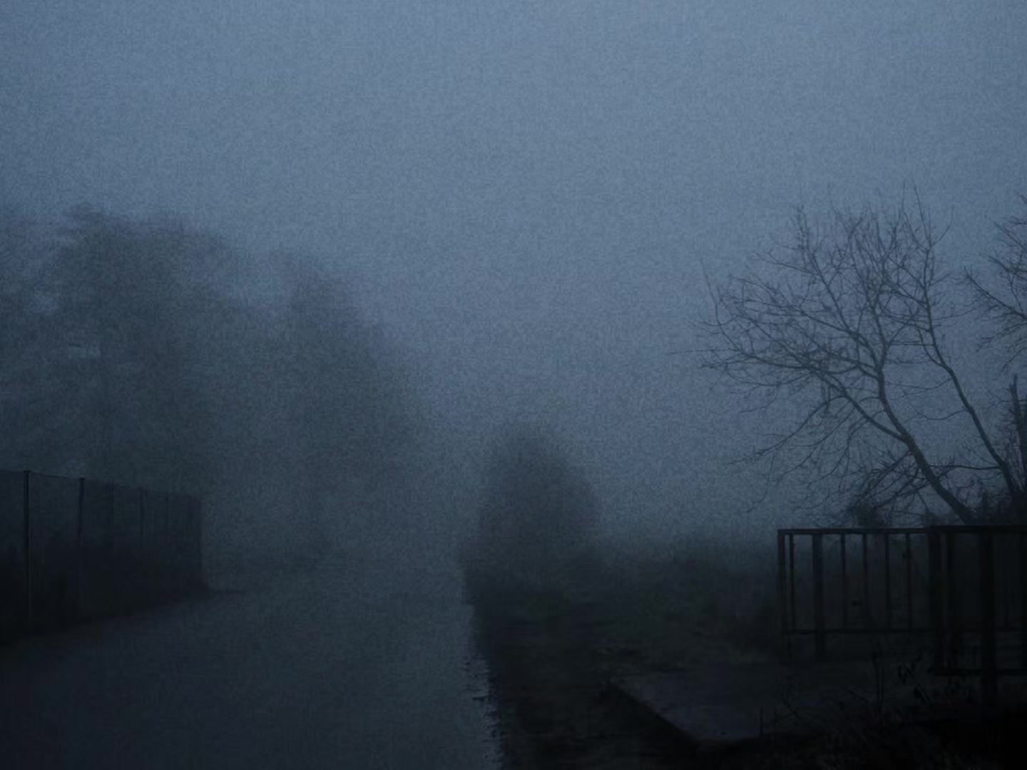@𝖁𝖆𝖒𝖕 𝖒𝖆𝖝 𓂀♡❀