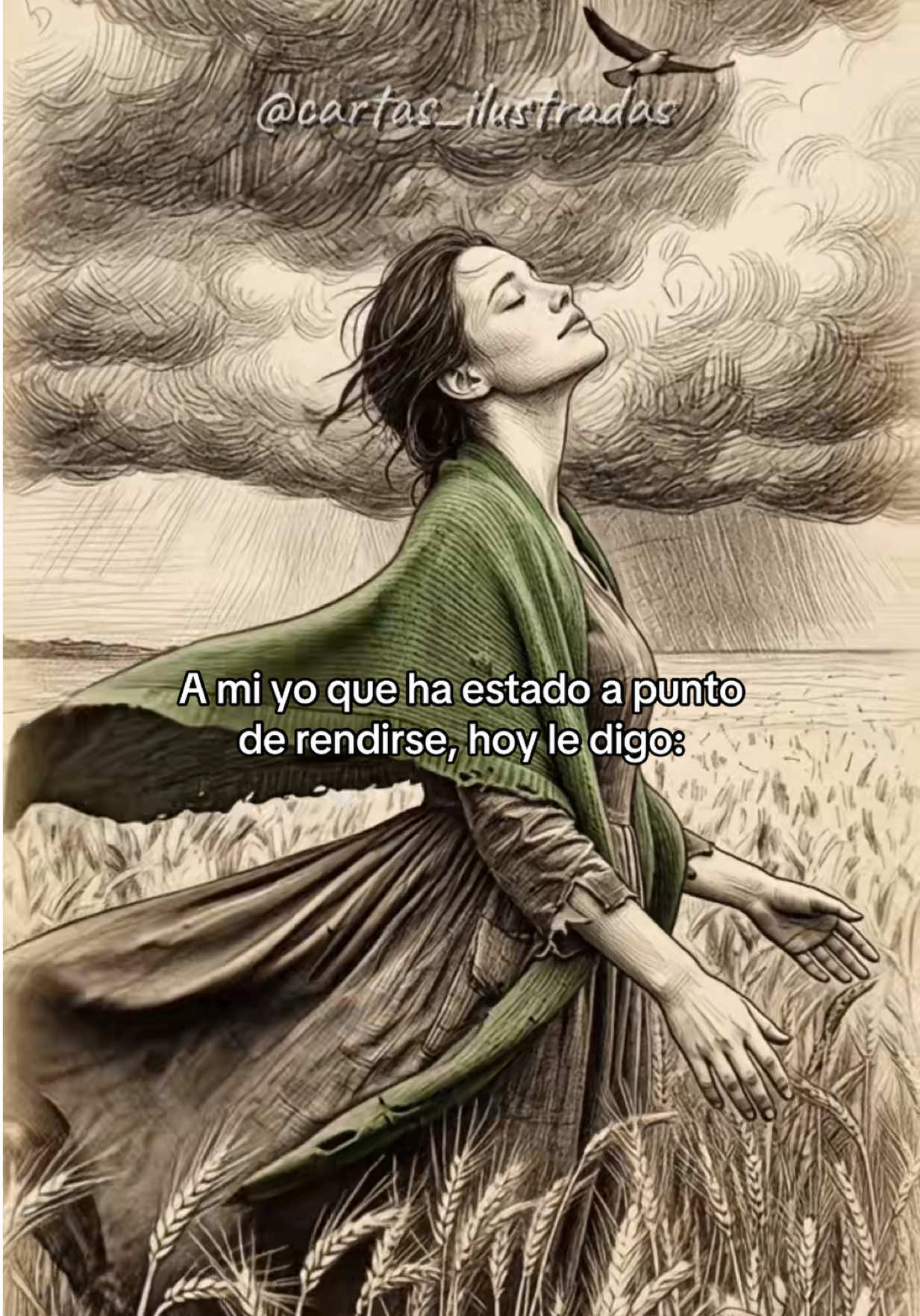 @Cartas_Ilustradas
