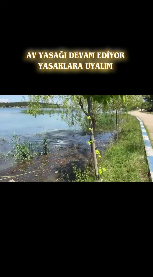 @Sportif Olta Balıkçıları