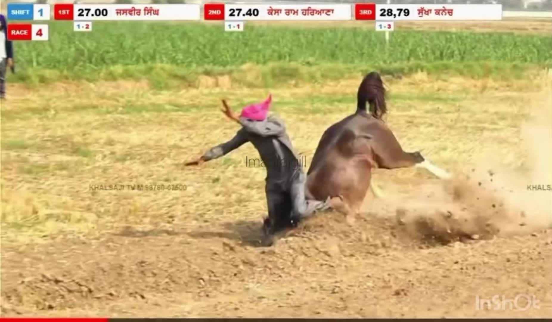 @🏇 MARWARI HORSE RACING 🏇