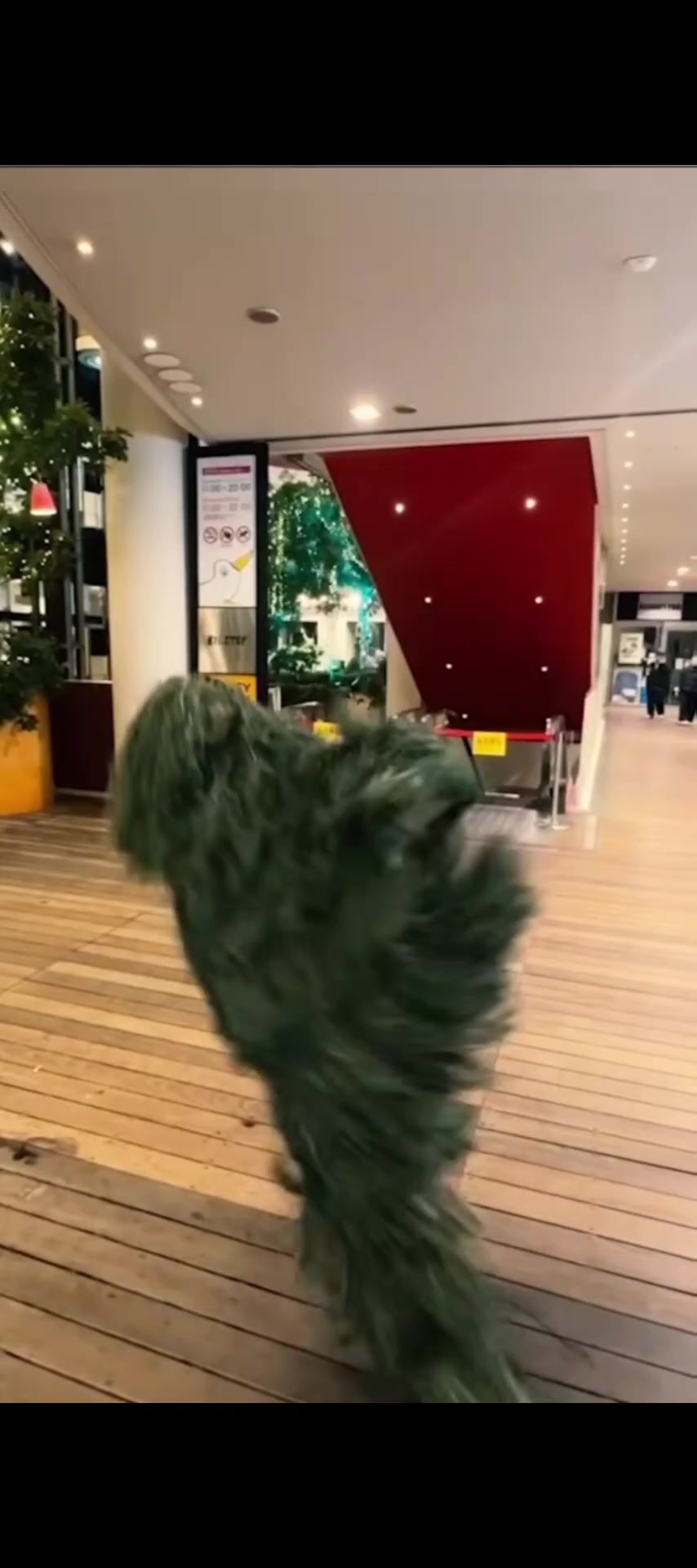 @ガキ隊
